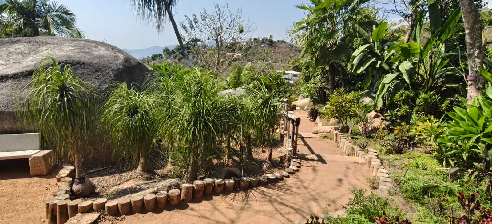 Portada principal de Margo Acapulco