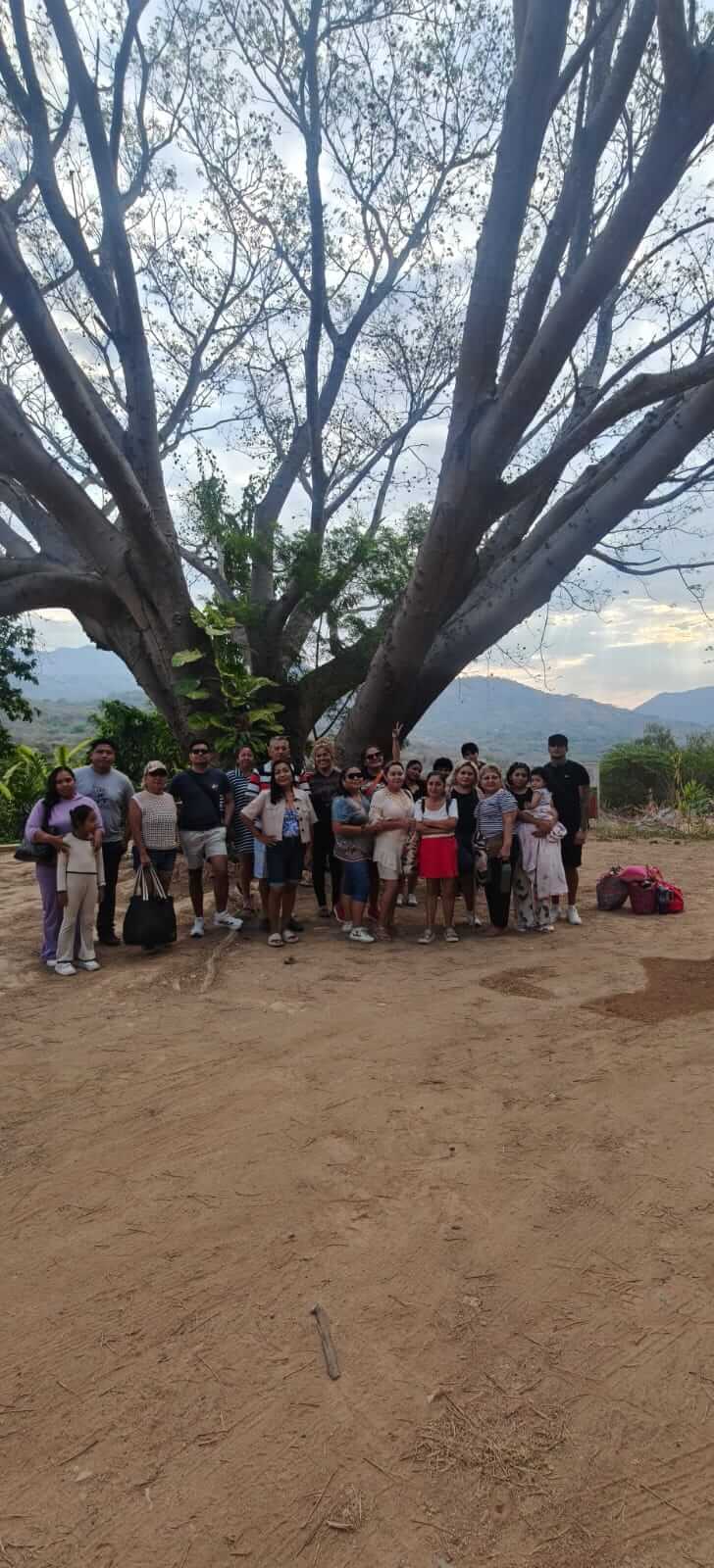 Ruinas o estructura antigua en la selva